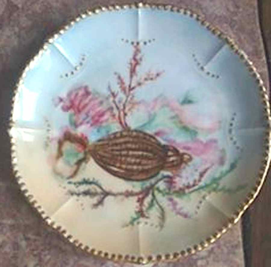 BWD706 Bread & Butter Plate by Bawo & Dotter-1