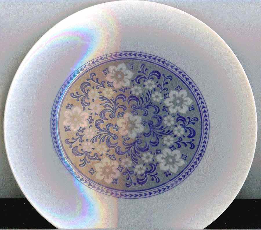 BTH249 Dinner Plate by Bareuther & Co-1