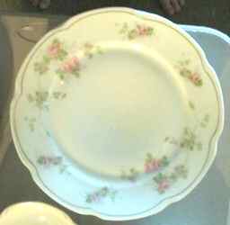 BNK2 Dinner Plate by Benedikt Brothers-1
