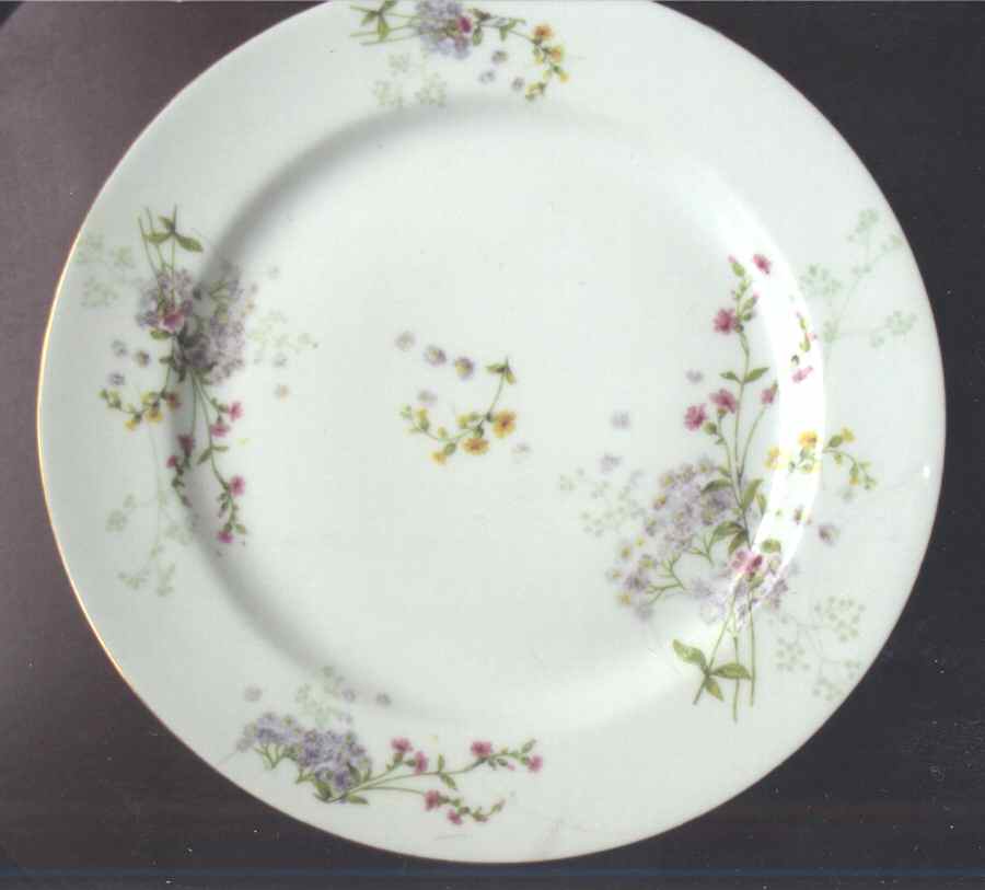 BWD713 Dinner Plate by Bawo & Dotter-1