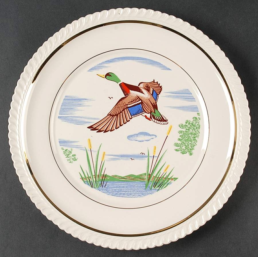 BGN1 Dinner Plate by W C Bunting Co-1