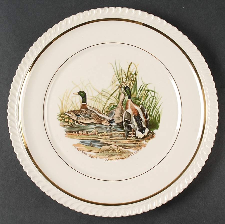 BGN2 Dinner Plate by W C Bunting Co-1