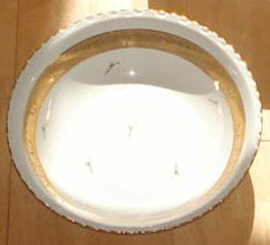 BER599 8" Round Vegetable Bowl by Bernardaud-1
