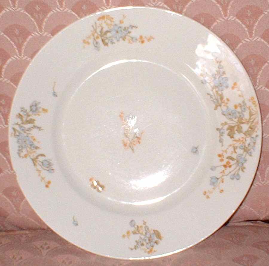 BWD724 Dinner Plate by Bawo & Dotter-1