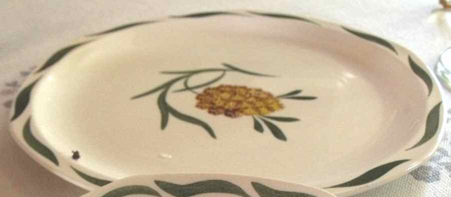 BAB33 Dinner Plate by Barker Bros Ltd-1