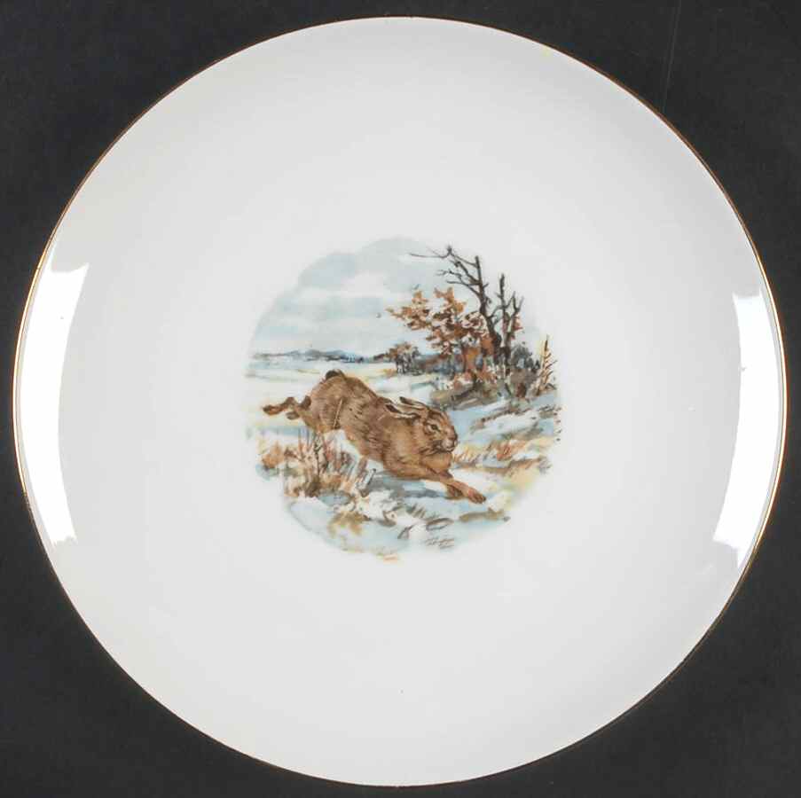SCH657 Dinner Plate by Schumann - Bavaria-1