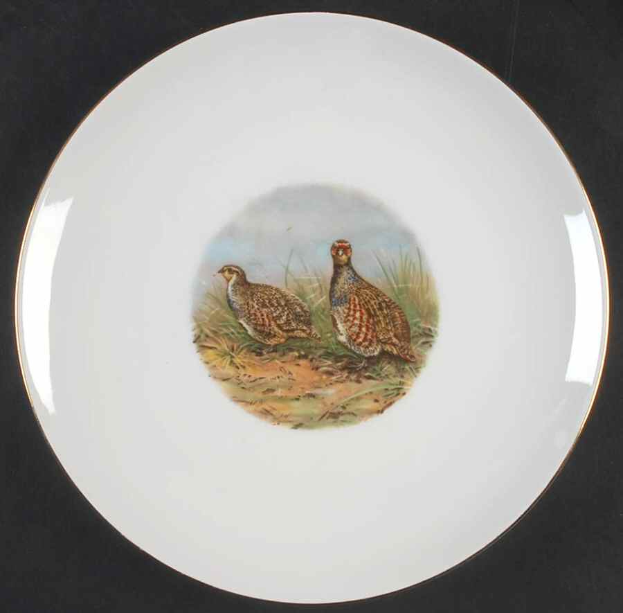 SCH657 Dinner Plate by Schumann - Bavaria-1