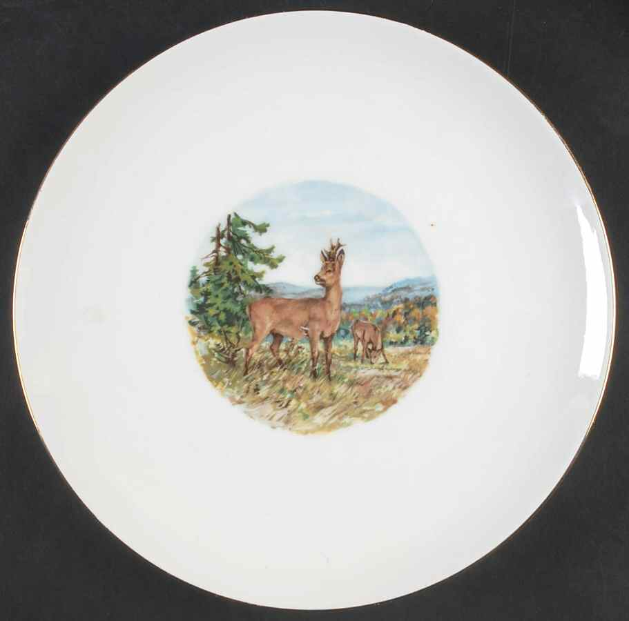 SCH657 Dinner Plate by Schumann - Bavaria-1