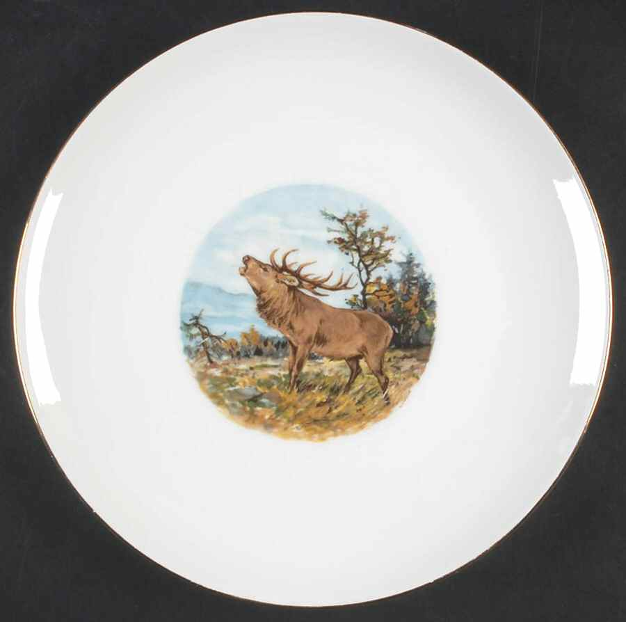 SCH657 Dinner Plate by Schumann - Bavaria-1