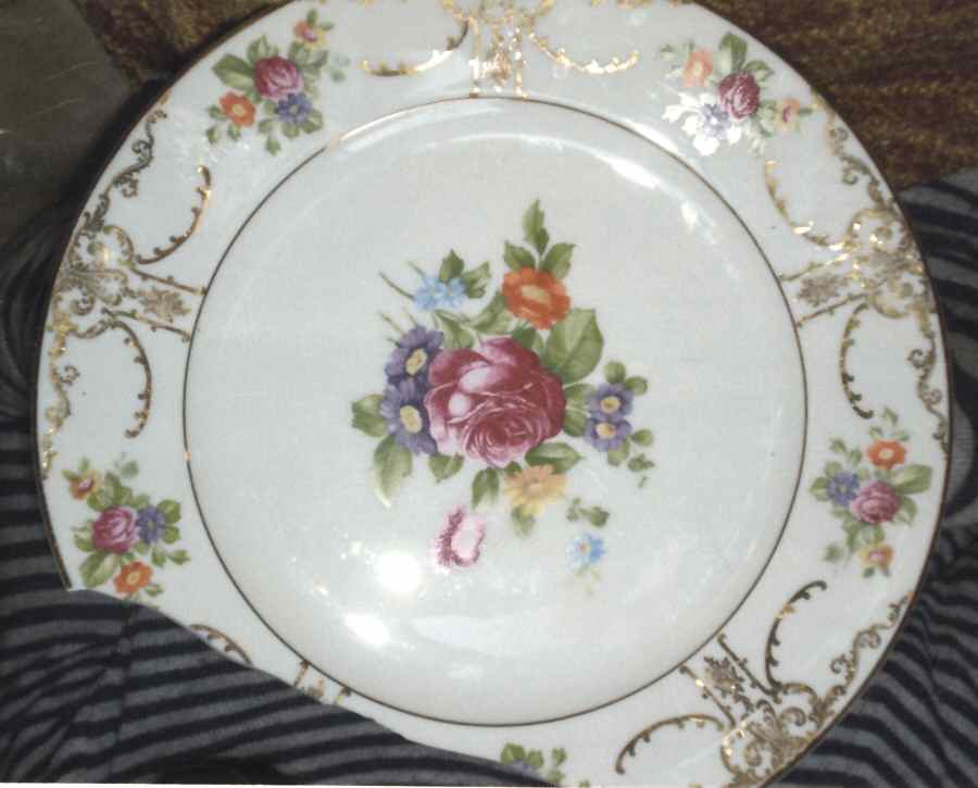 BAV441 Dinner Plate by Bavaria-1