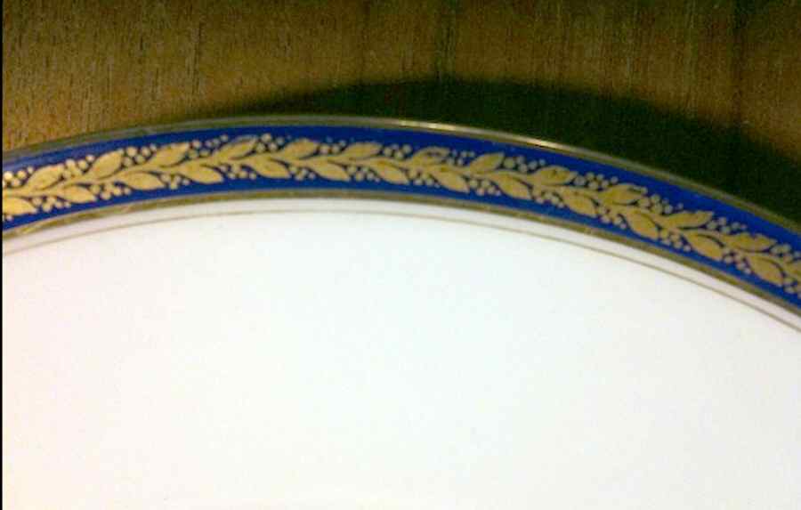BER607 Dinner Plate by Bernardaud-1