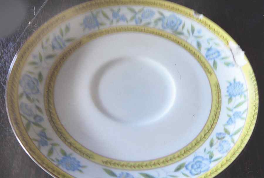 Printemps Saucer by Berkeley House-1