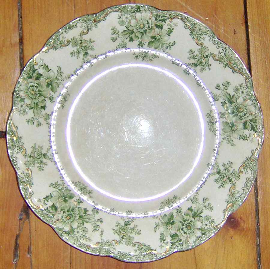 Bexley Green Dinner Plate by Bishop & Stonier-1