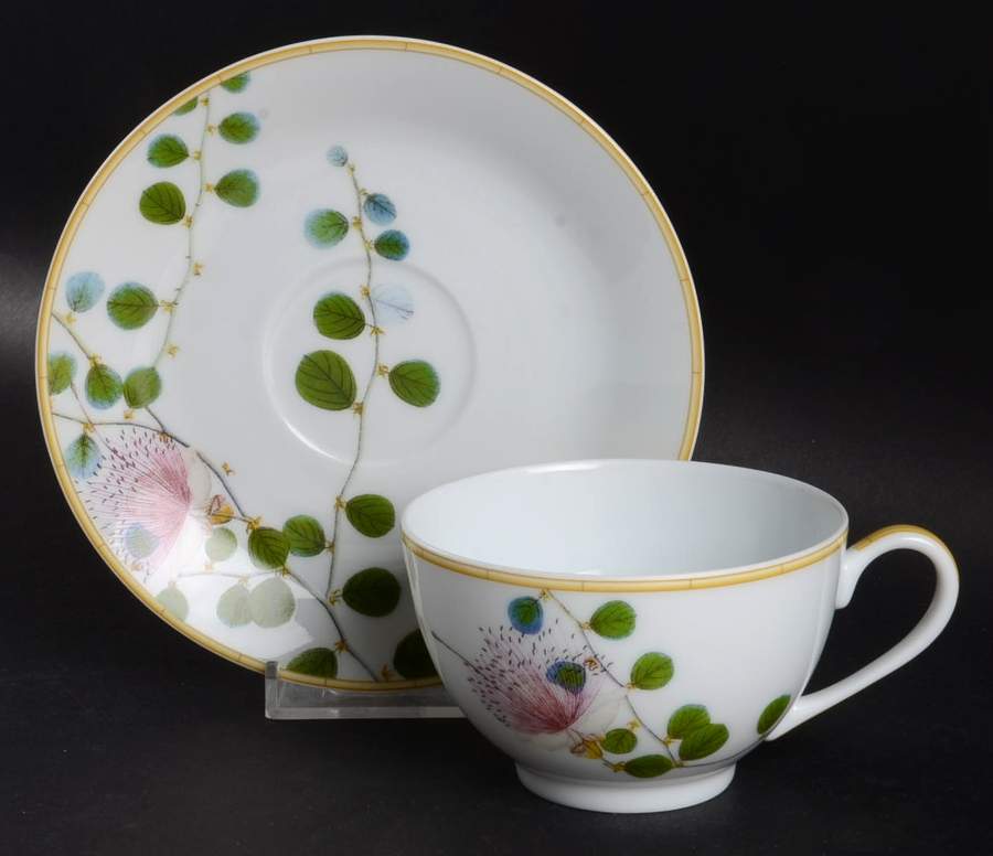 Jardin Indien Flat Cup & Saucer Set by Bernardaud-1