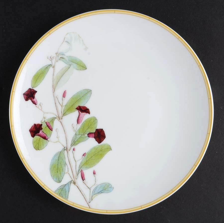 Jardin Indien Bread & Butter Plate by Bernardaud-1