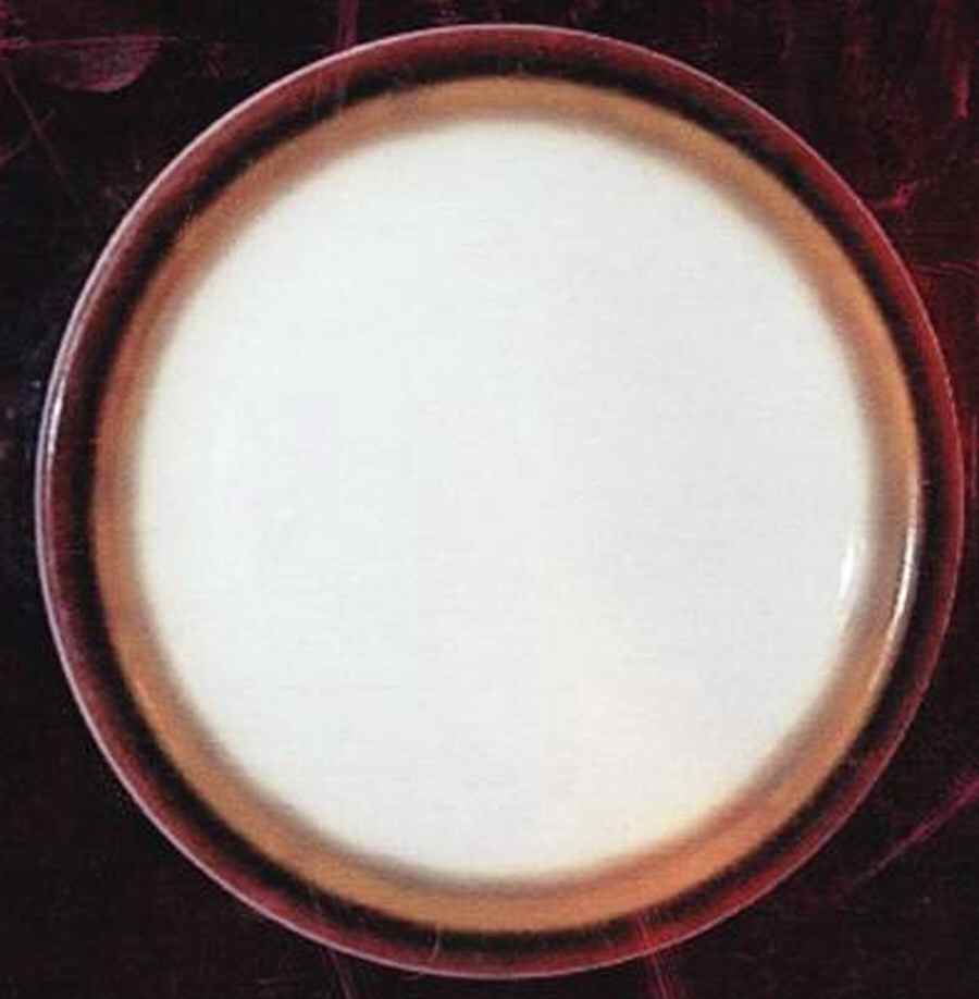 BUF166 Dinner Plate by Buffalo Pottery-1