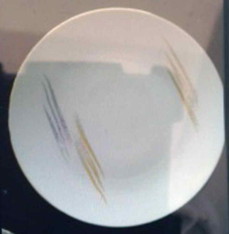 BTH263 Dinner Plate by Bareuther & Co-1