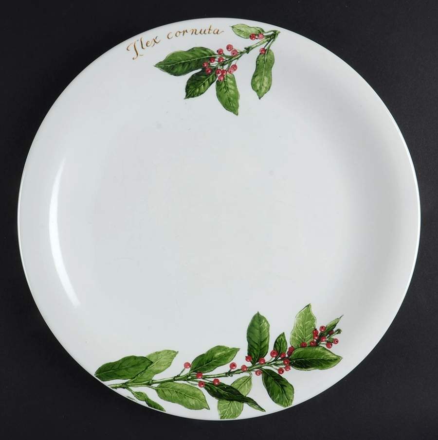 Holiday Branch Dinner Plate by Ballard Designs-1