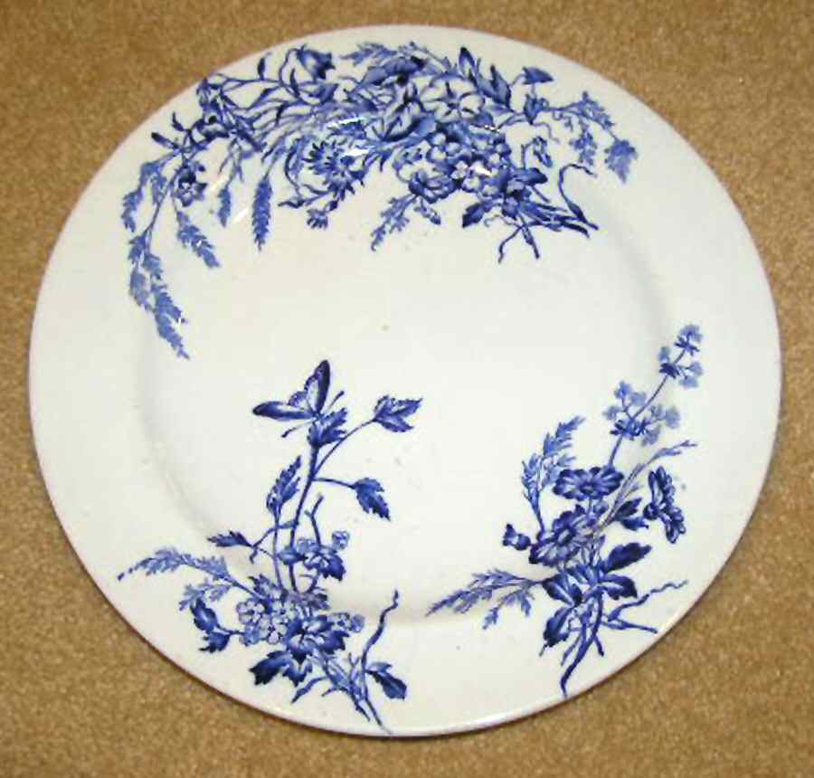 Salopia Dinner Plate by Brown, Westhead & Moore-1