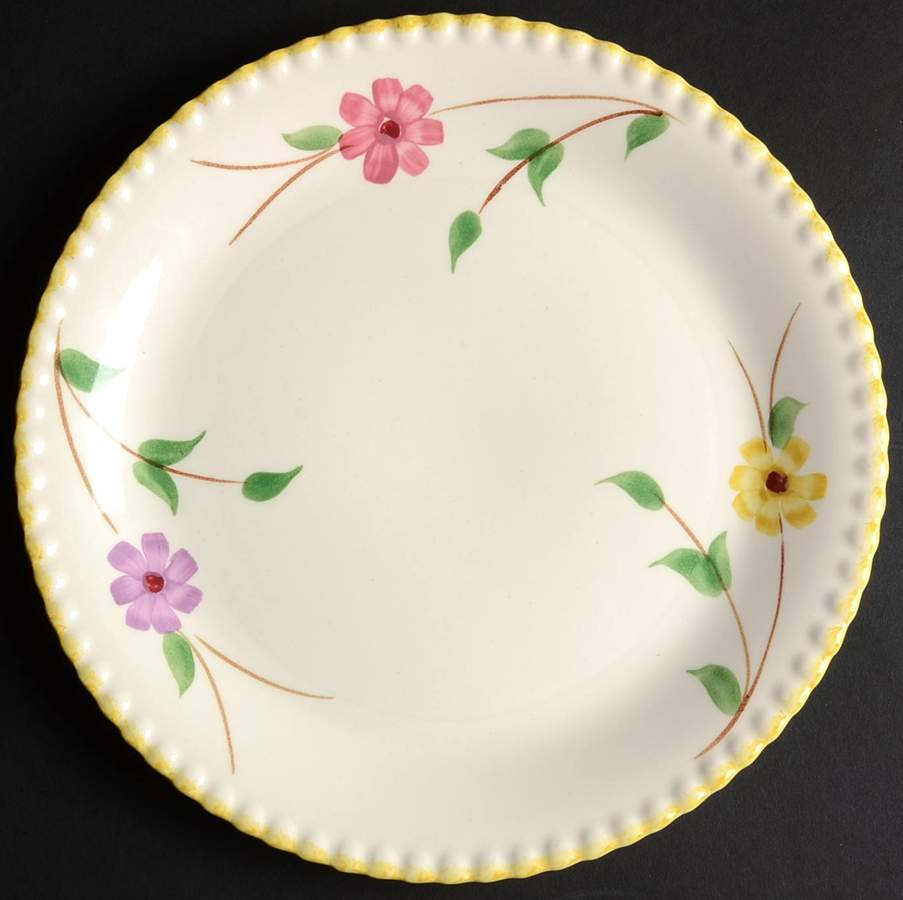 BRP173 Dinner Plate by Blue Ridge Southern Pottery-1