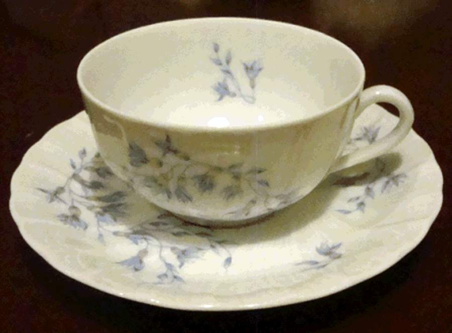 BER637 Flat Cup & Saucer Set by Bernardaud-1