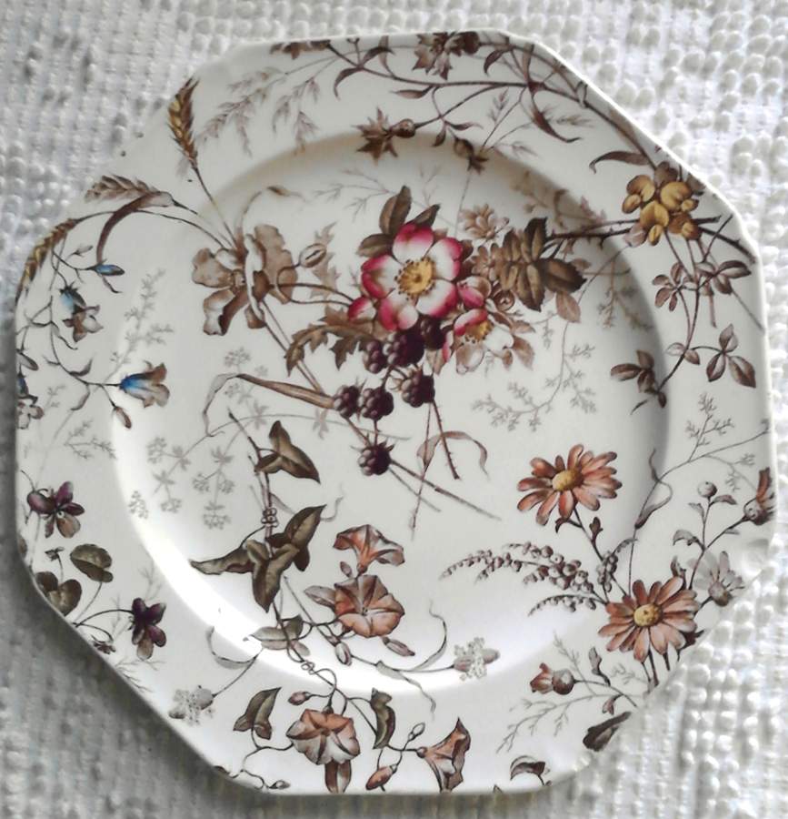 BWM25 Dinner Plate by Brown, Westhead & Moore-1