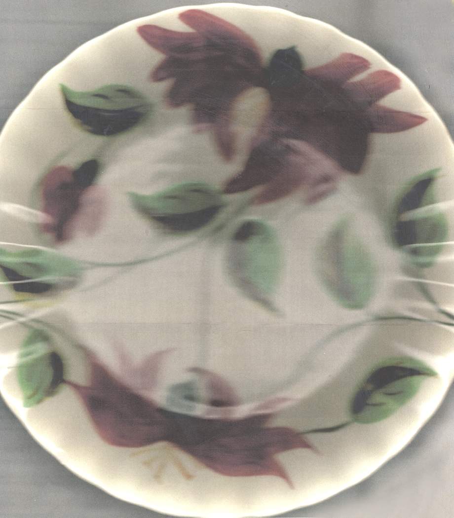 BRP174 Dinner Plate by Blue Ridge Southern Pottery-1