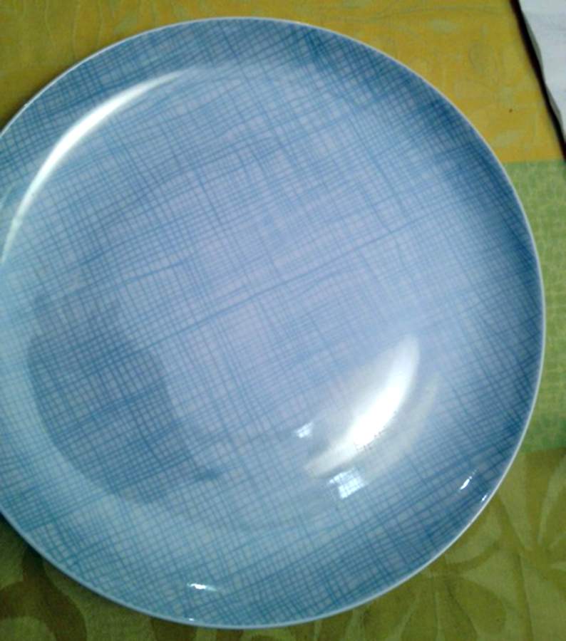 BER644 Dinner Plate by Bernardaud-1
