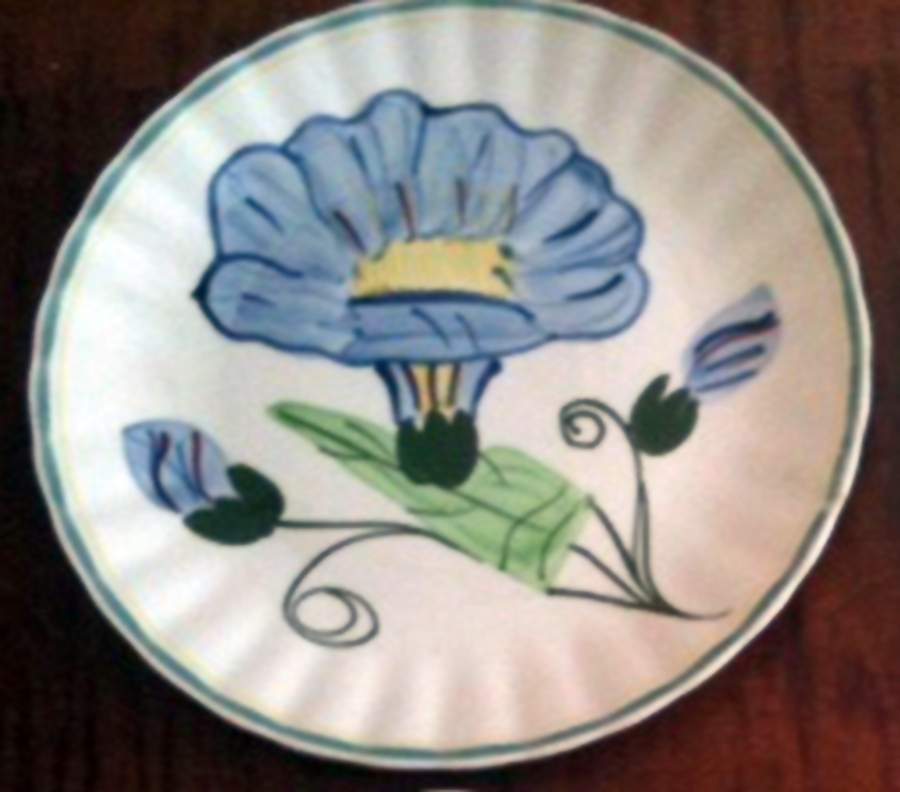Garden Flowers Salad Plate by Blue Ridge Southern Pottery-1