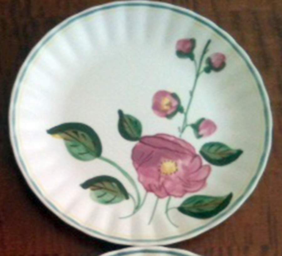 Garden Flowers Salad Plate by Blue Ridge Southern Pottery-1