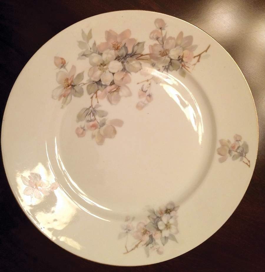 BCO37 Dinner Plate by Bloch & Co-1