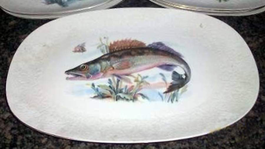 BHY4 16" Oval Serving Platter by Bhm-Bavaria-1