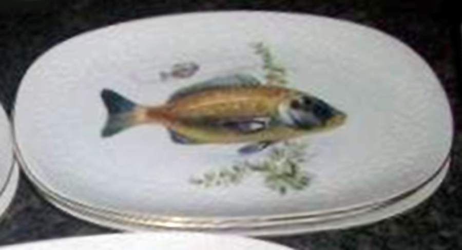 BHY4 12" Oval Serving Platter by Bhm-Bavaria-1