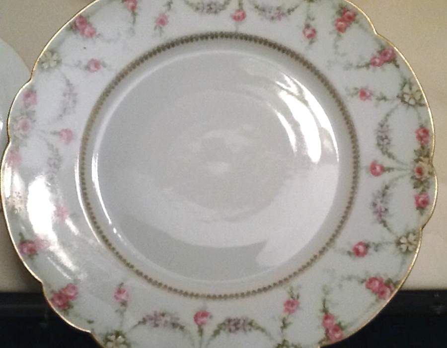 BER669 Dinner Plate by Bernardaud-1