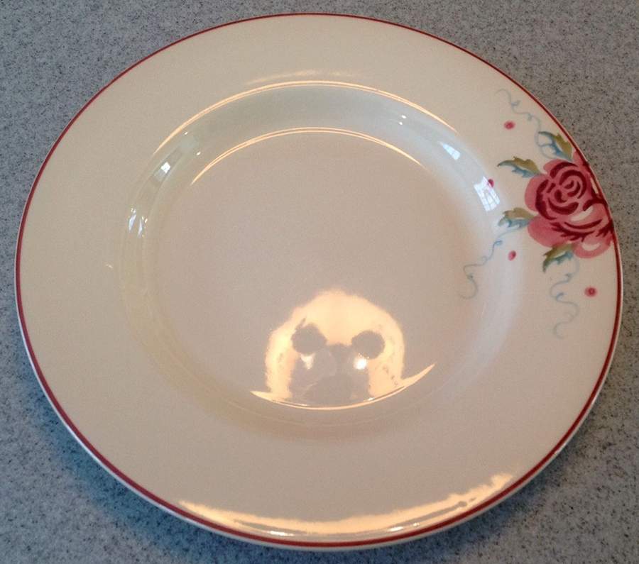 BTW9 Dinner Plate by Emma Bridgewater-1