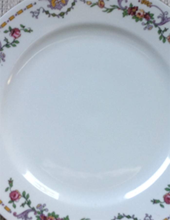 BCO39 Dinner Plate by Bloch & Co-1