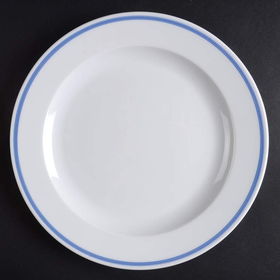 BAW48 Dinner Plate by Bauscher Weiden-1