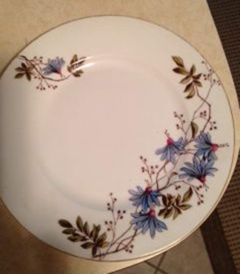 BBD9 Dinner Plate by BBD-Karlsbad-1