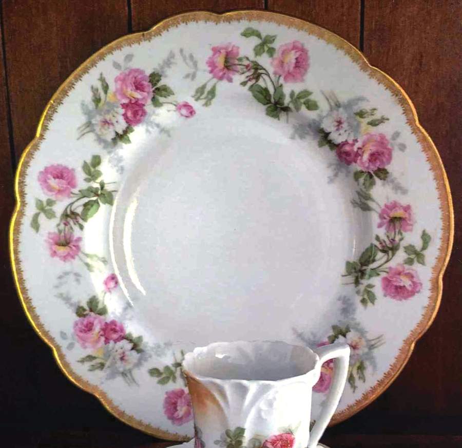 BER687 Dinner Plate by Bernardaud-1