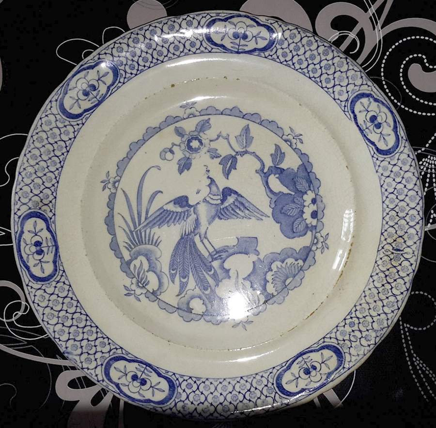 BRA36 Dinner Plate by British Anchor-1