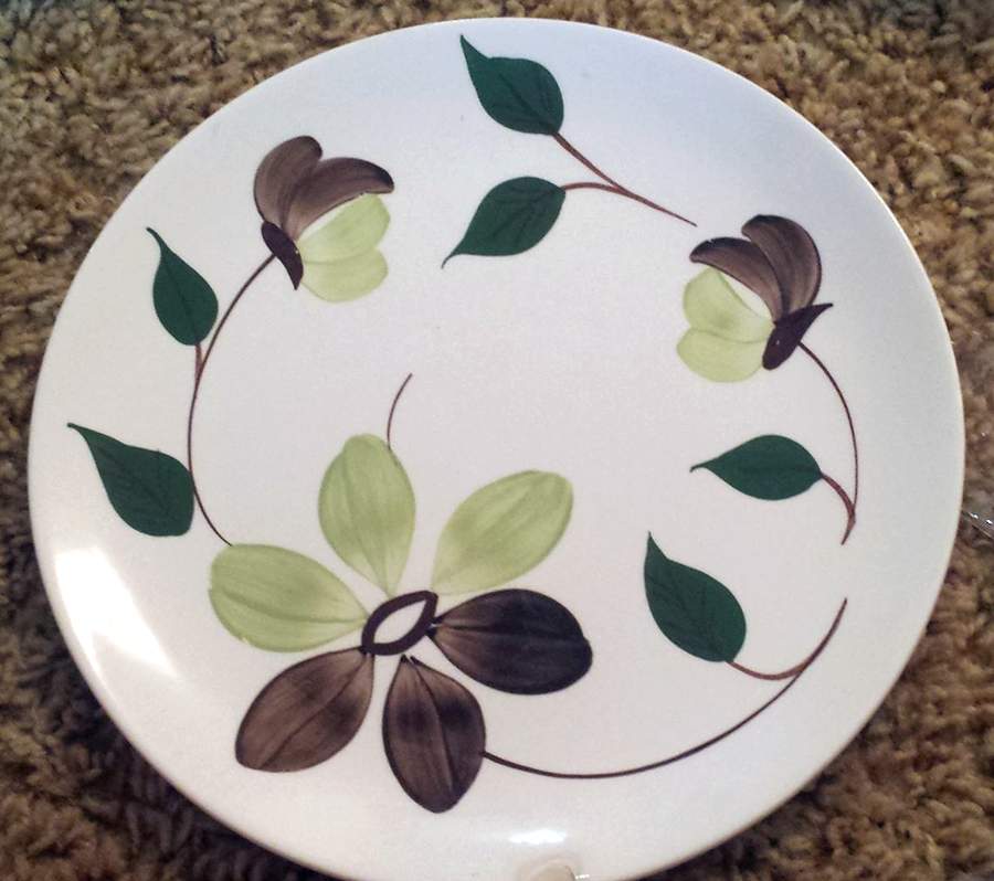 Doe Eyes Dinner Plate by Blue Ridge Southern Pottery-1