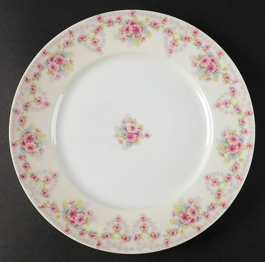 BWD846 Dinner Plate by Bawo & Dotter-1