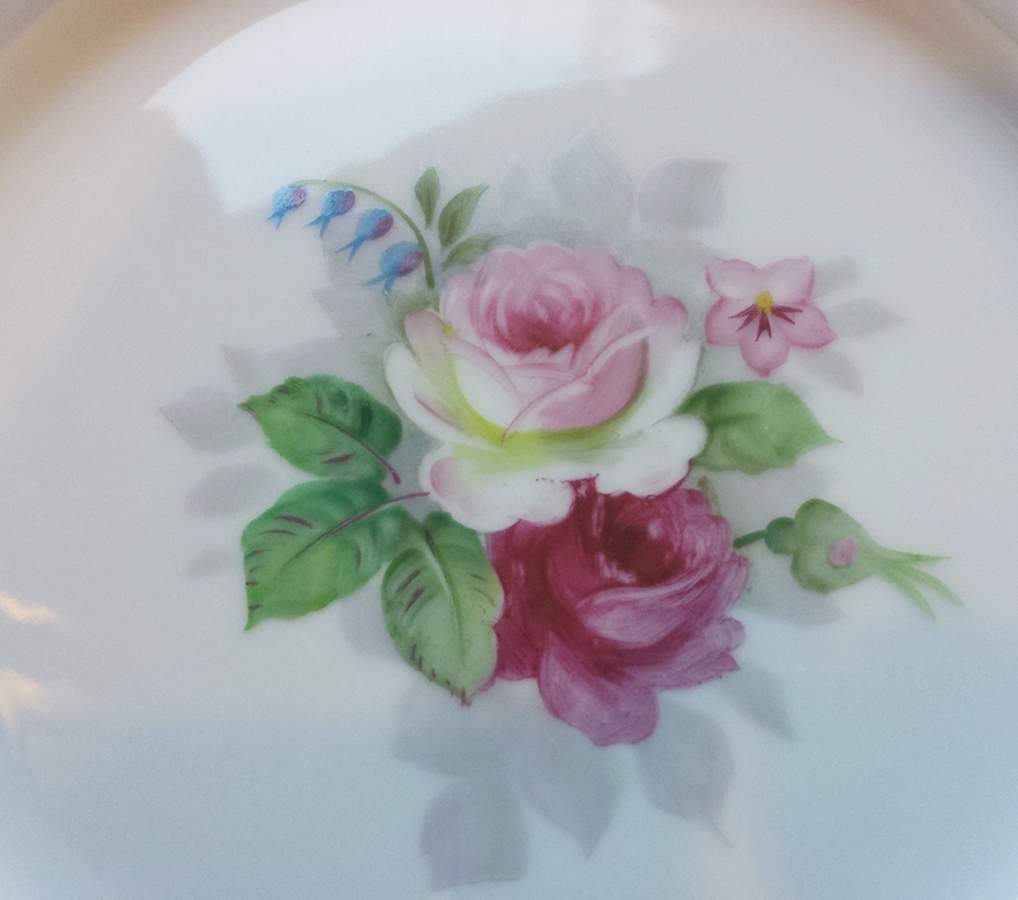 B6M2 Dinner Plate by Bamboo China-1