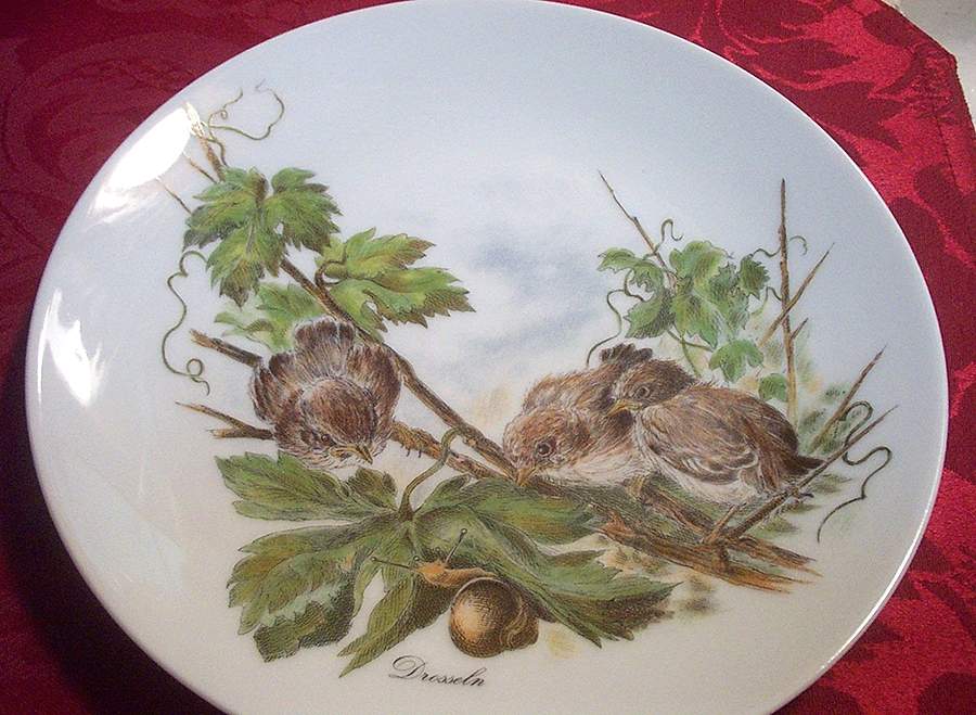 BTH299 Salad Plate by Bareuther & Co-1
