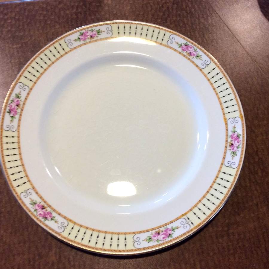 BRD28 Dinner Plate by Bridgwood & Son-1