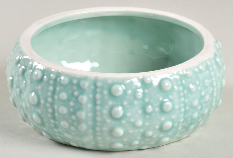 Turquoise Urchin 5" Round Box No Lid by Blue Sky-1
