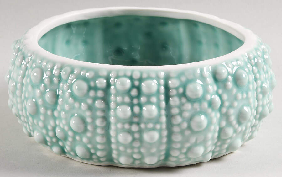 Turquoise Urchin 7" Round Box No Lid by Blue Sky-1