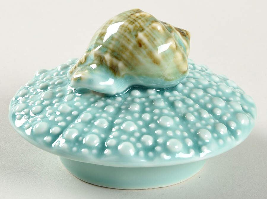Turquoise Urchin Lid for Teapot by Blue Sky-1