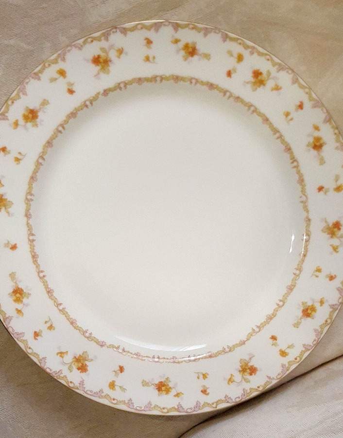 BWD875 Dinner Plate by Bawo & Dotter-1
