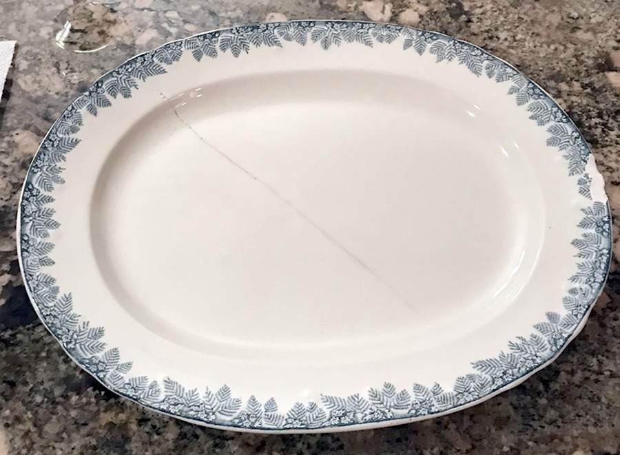 Fern 14" Oval Serving Platter by Bridgwood & Son-1